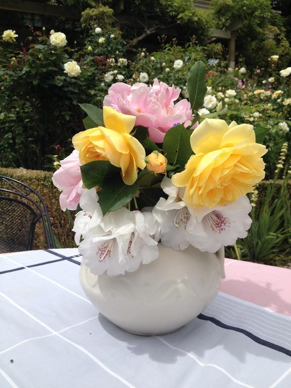 Blythcliffe Bed & Breakfast Akaroa Ruang foto
