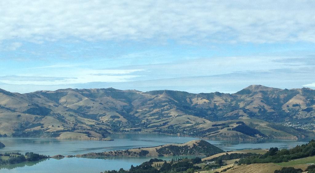 Blythcliffe Bed & Breakfast Akaroa Bagian luar foto