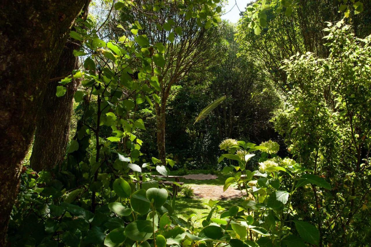Blythcliffe Bed & Breakfast Akaroa Bagian luar foto